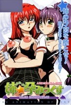 姉☆孕みっくす Vol.03 姉の子..